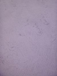 Plain Purple Vinyl Wallpaper 51125413