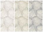 beech collage 4