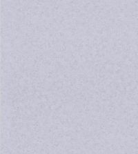 Plain Pale Dove Grey Wallpaper 51160619