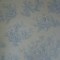 bluetoile1
