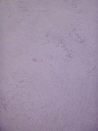 Plain Purple Vinyl Wallpaper 51125413