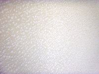 Plain Cream Speckle Texture 51152607